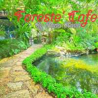 🎁คาเฟ่ฟิลป่าอะเมซอล