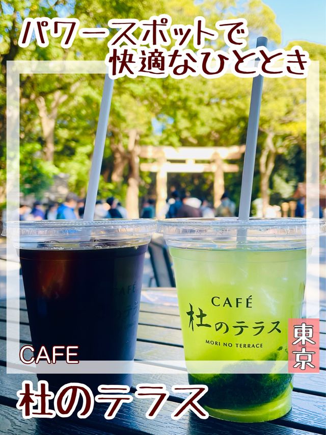 【東京都/CAFE 杜のテラス】パワースポットで快適なひととき