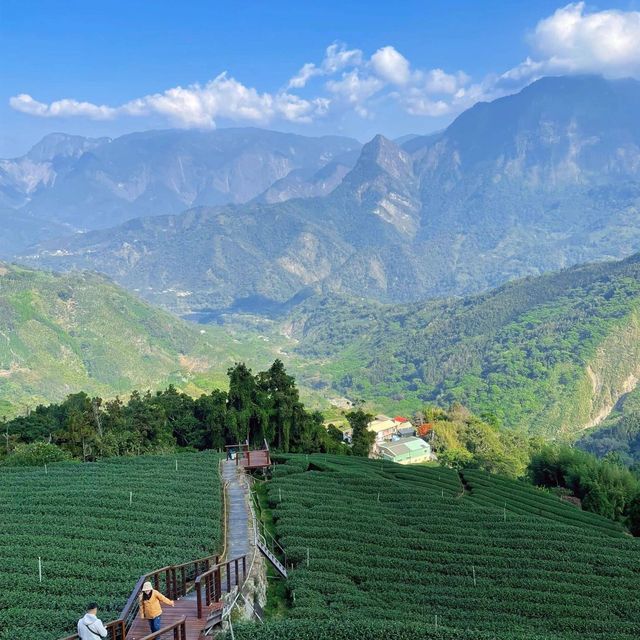 美麗的台灣,桃園又大又美