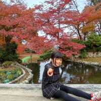 ฤดูใบไม้ผลิ 西山公園