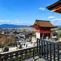 Autumn Night Illumination of the Kiyomizu-dera