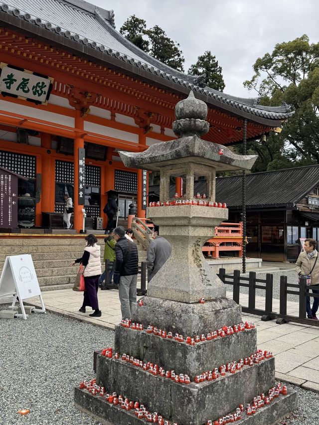 It’a red world 🇯🇵🇯🇵 Katsuoji Temple !!