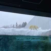 札幌　円山動物園・寿司トリトン・夜パフェ・札幌ラーン