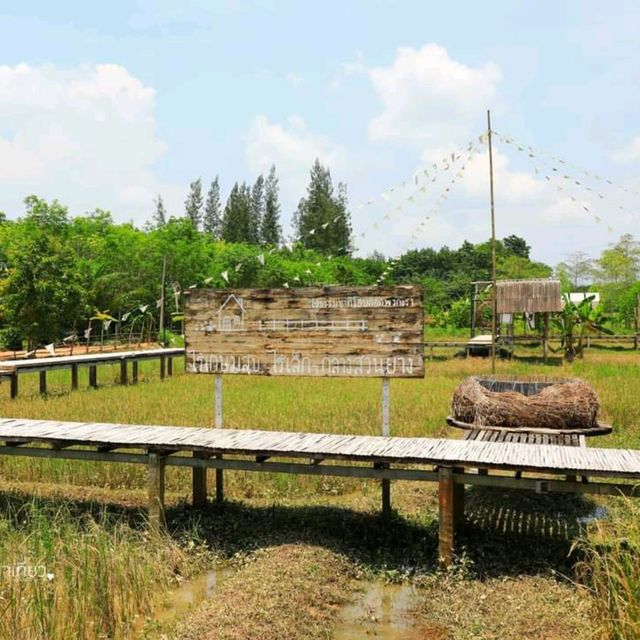 ไร่เกษมสุข อำเภอทุ่งใหญ่ จังหวัดนครศรีธรรมราช