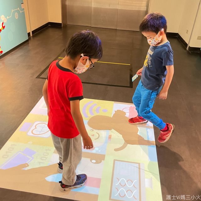 《台北科學教育館｜環型空中木橋》