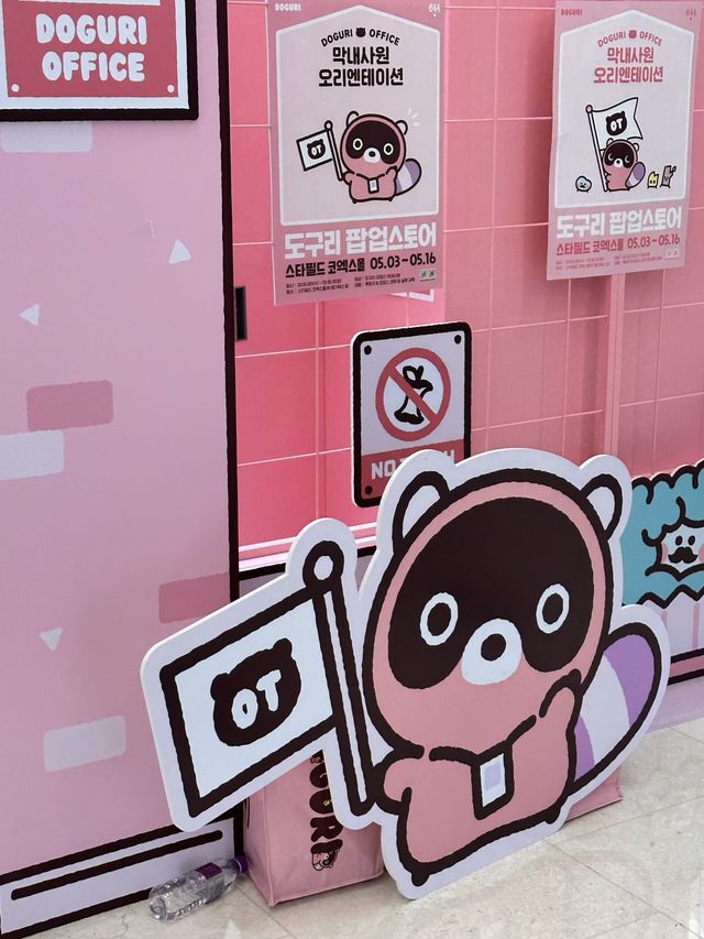 코엑스에서 가장 아기자기한 곳, 도구리 팝업 🦦