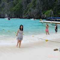 One Day Trip เกาะพีพี อ่าวมาหยา