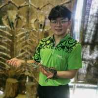 Fun Day in Borneo Happy Farm