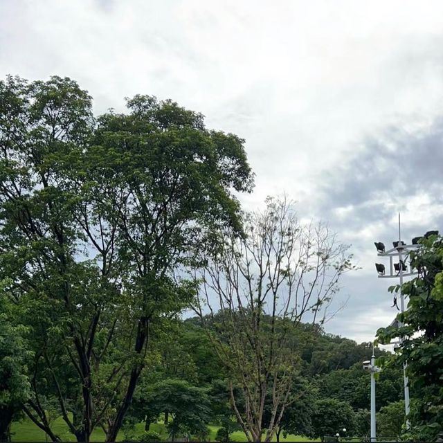 🤹🏻‍♂️蓮花山公園 | 遊山玩水🏵️