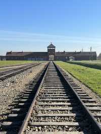 Auschwitz: The Largest Nazi Extermination Camp