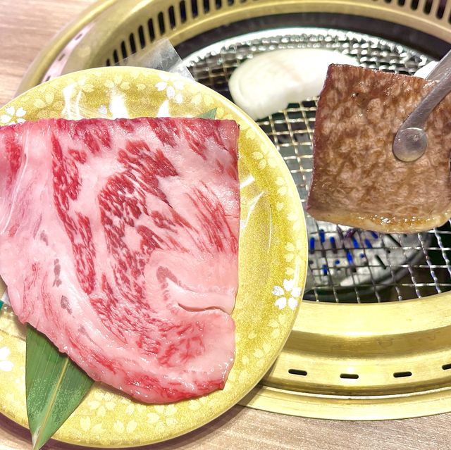 名古屋旅行でずっと気になってたところ行けた🥩