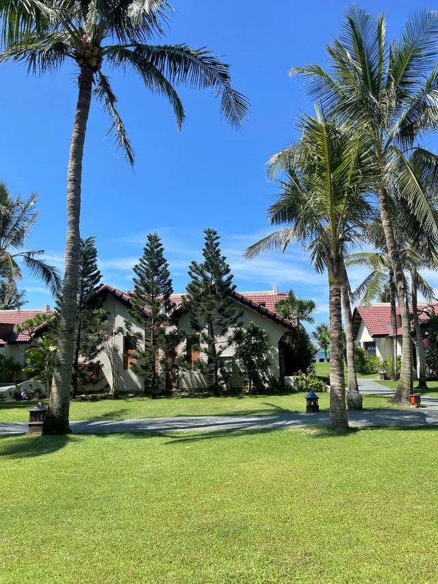 호이안 프라이빗 비치가 있는 자연친화적인 팜가든리조트 🏝️