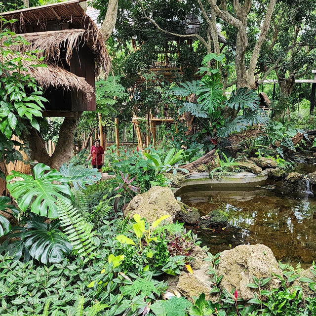 "Cat garden"โรงแรมแมว สวรรค์ของคนรักแมว📍