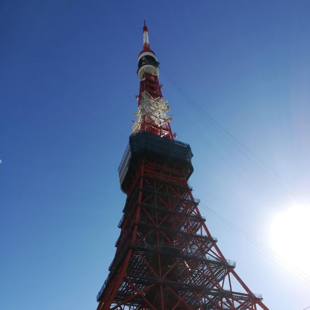 東京御朱印巡り