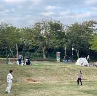 到立新湖公園放鬆打卡一天