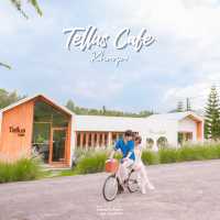 Tellus คาเฟ่สุดคิ้ว วิวป่าสน ที่เขาใหญ่
