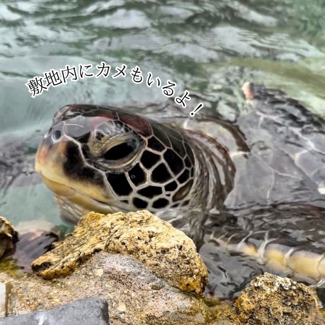 📍ルネッサンスリゾートオキナワ/沖縄
