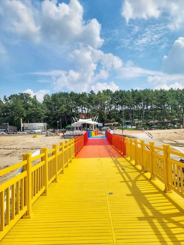 일곱빛깔무지개🌈이런 다리 본적있나요?