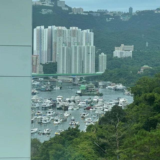 🌊🏨 香港富麗敦海洋公園酒店🏨海洋奇遇的極致🐬🌴🏊‍♂️