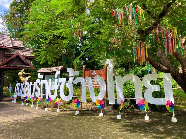 ชมน้องช้าง ที่ศูนย์อนุรักษ์ช้างไทย ลำปาง