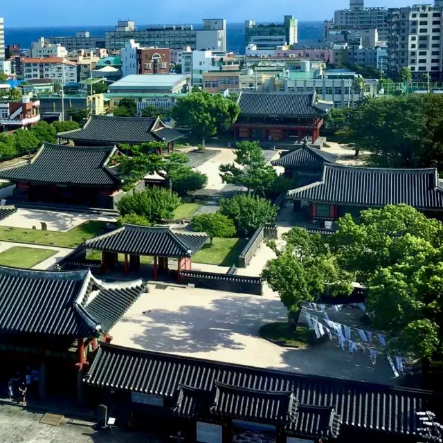 🌳 아름다운 연못과 옛 조선시대 관청의 모습이 남아있는 제주목 관아 🌟