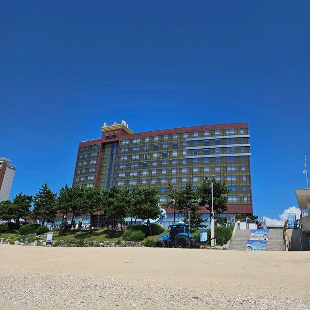 대천여행 추천 호텔 쏠레르
