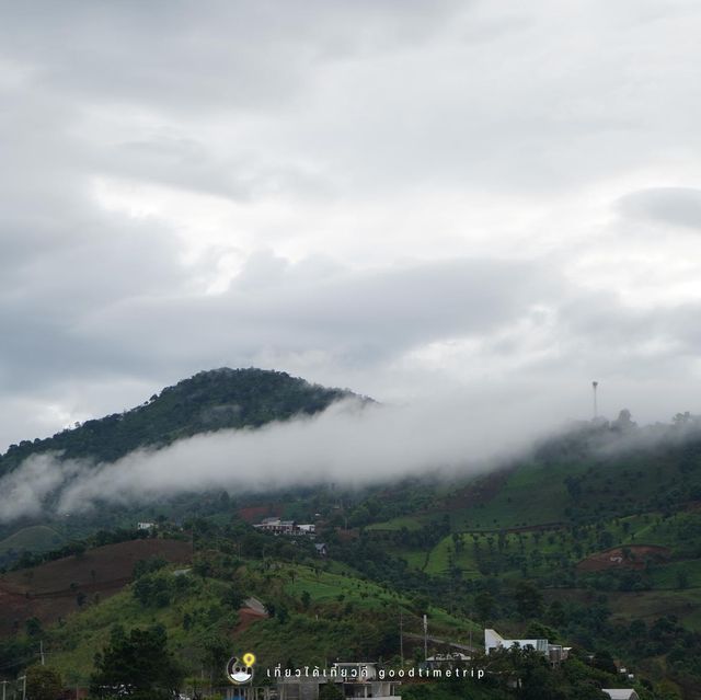 ธรรมชาติโอมกอดที่  Arroon #ดอยช้าง ⛰เชียงราย 
