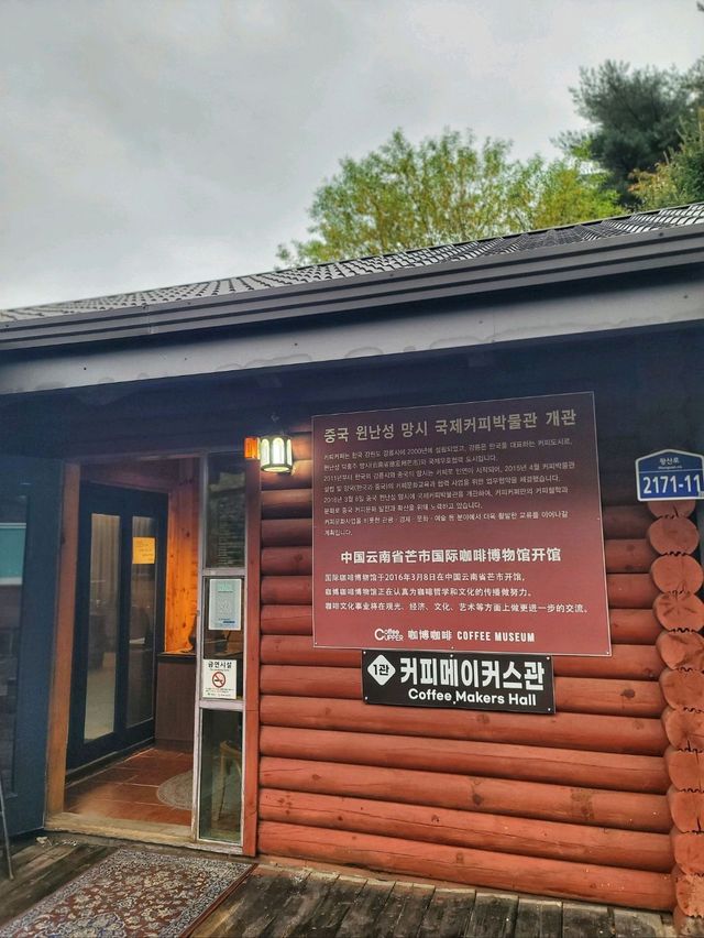 강릉의 특별한 카페가 궁금하다면🤎