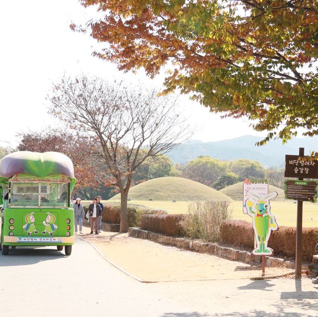 경주가면 꼭 가봐야하는 첨성대 ! 