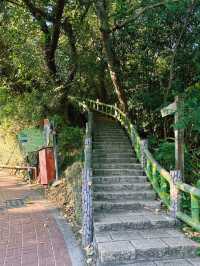 [台北] 市區低難度的登山步道 超美沉積岩打卡景點-軍艦岩登山步道