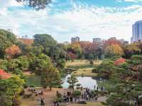 【東京都】和歌の心息づく雅な大名庭園『六義園』
