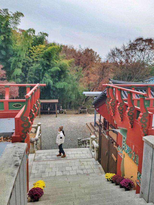 한적하게 거닐기 좋은 아름다운 홍룡사🍂