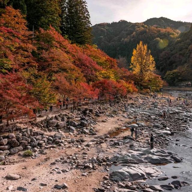  Korankei จุดชมใบไม้เปลี่ยนสีที่สวยมากในญี่ปุ่น