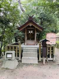 【島根県/出雲大社】2023年行ってよかった！島根県の神社14