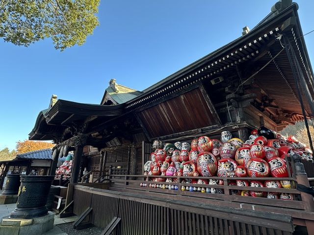 日本高崎市達磨寺 觀音山