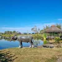 ภูธารา กรีนปาร์ค