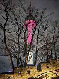 Seoul tower 