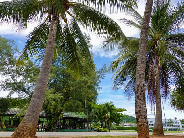 เที่ยวทะเลสวย ที่ หาดเตยงาม สัตหีบ 🌴🌴🌴