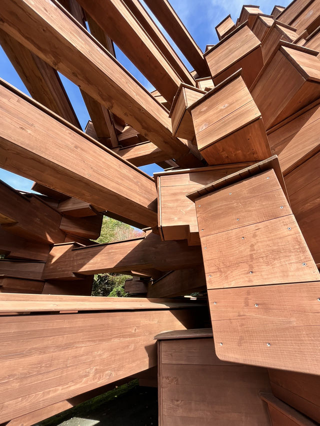 箱根溫泉之旅：雕刻之森林美術館（The Hakone Open-Air Museum）