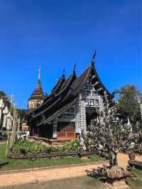 ขอพรความรัก การเงิน การเงิน ที่วัดโลกโมฬี เชียงใหม่