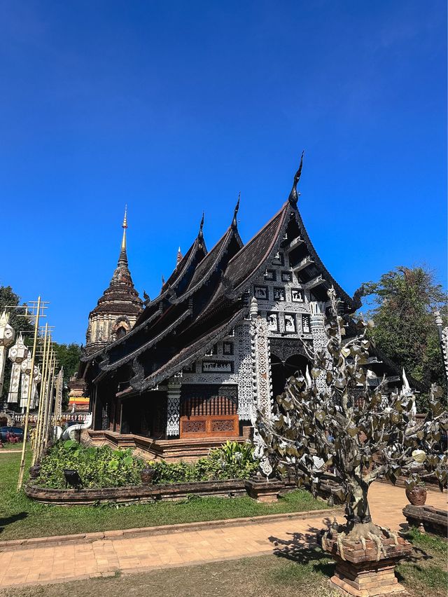 ขอพรความรัก การเงิน การเงิน ที่วัดโลกโมฬี เชียงใหม่