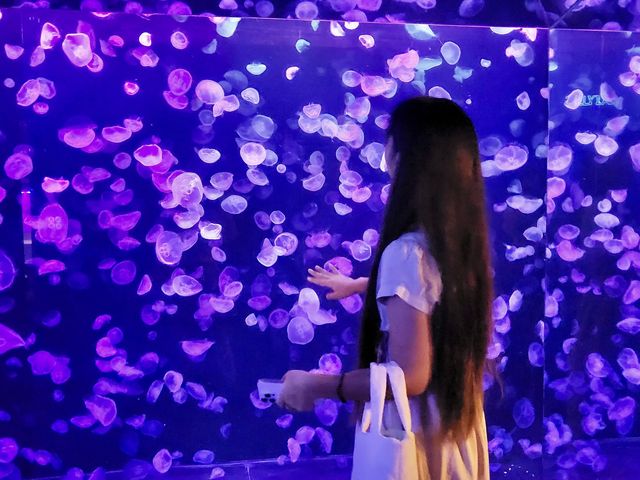 부산에 하나뿐인 아쿠아리움🐳
