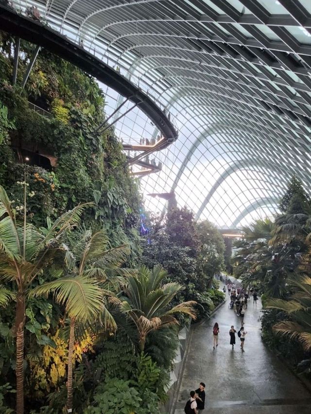 Day 1 in Singapore 🇸🇬 
