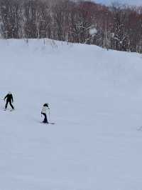 เกินคุ้มแล้ว Snow Board แบบหิมะฟู Niseko Japan