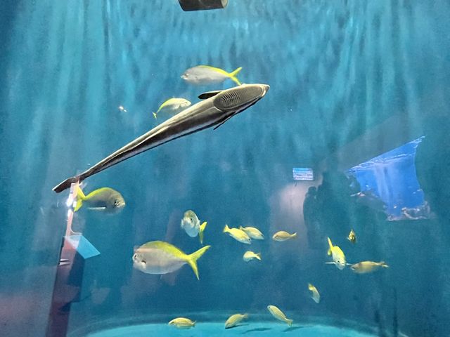 【仙台うみの杜水族館】水族館とちいかわ