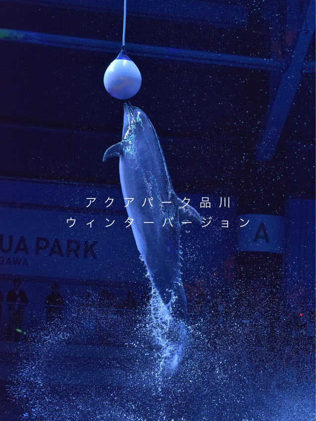 アクアパーク品川 ウィンターバージョン