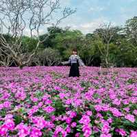 นั่งปิกนิก ปั่นเรือเป็ด ที่สวนหลวงร.9