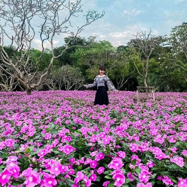นั่งปิกนิก ปั่นเรือเป็ด ที่สวนหลวงร.9