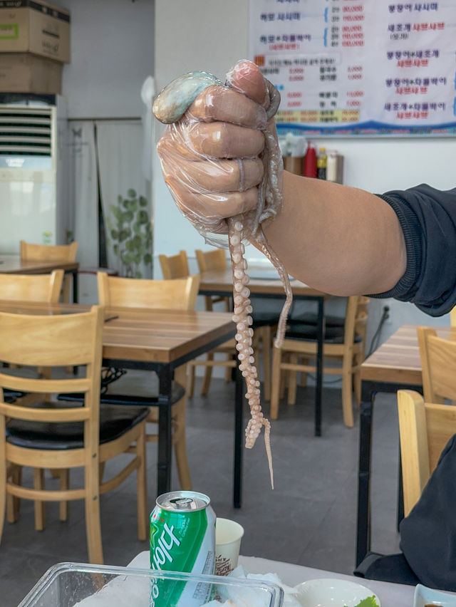 여수 여행 중 꼭! 먹고와야하는 맛집, 당머리첫집