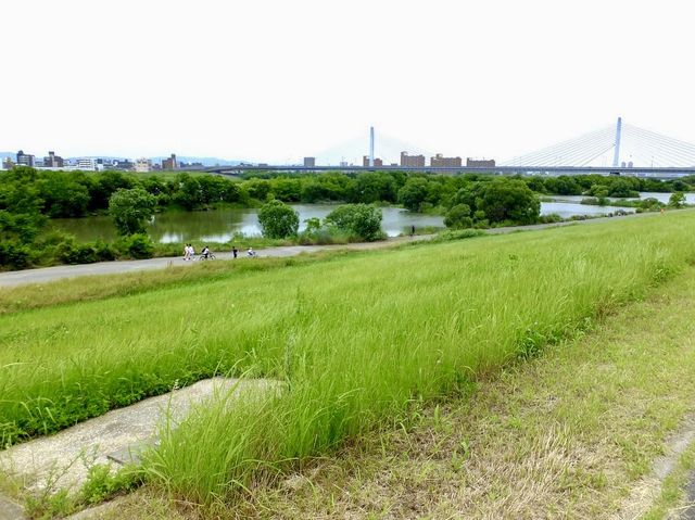 Yodogawa River Park Akakawa District